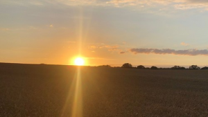 Bild der Veranstaltung